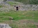Malham cove