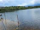 Lake for fishing