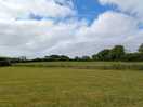 View across the field