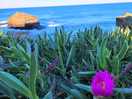Walk along the coastal path to foz