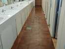 Sanitaires