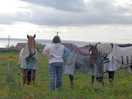 The locals