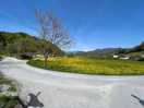 Zona attorno al camping
