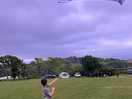 Kite flying on site