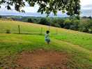 The rope swings at the top of the hill were a hit!