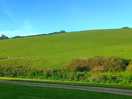 View from van