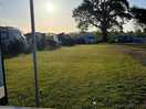 View from my plot