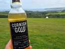 Cornish cider with a cornish view