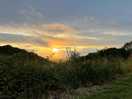 Beautiful sunset