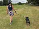 Campsite walk with the mutley