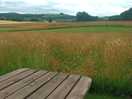 Picnic table at site