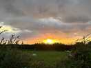 Sunset on the walk from new quay to the campsite