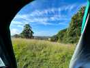 Morning view from tent