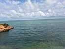 Views of the coves