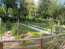 Allotment