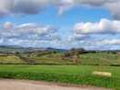 Looking out ftom upperhurst