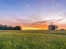 Stunning sunset across the field.