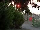 Sunris from the tent