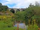 Monsal head