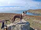 Amazing coastal walks from the doorstep