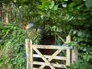 Gate at the entrance to the hut