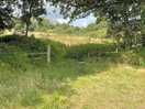 Surrounding walks