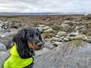 Great for rock pooling