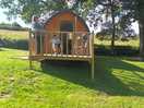 Our pod owl