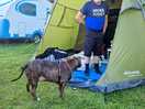 My partner and dog