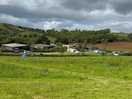 Treacle valley campsite