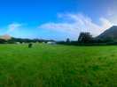 Site