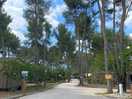 Site entrance