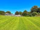 The dog field 2