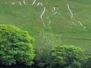 Grand man in the hills 10 min drive away,