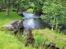 Campsite stream.