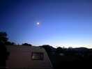 View of the night sky