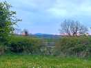 View from the site