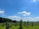 View from the top of the field near the toilet/shower cabins