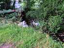 The river babbling behind our set-up