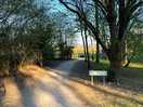 Woodland walk to the camping field