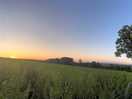 A pano!