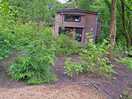 Tiny house