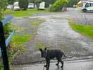 Fun in the rain