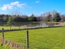 Fishing pond