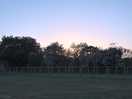 Sun setting over the dog garden