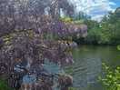 Walk along the canal