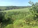 So peaceful. view from the camping field