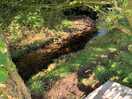 Stream that runs along one side of the site