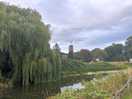 Beautiful walk along the river