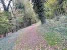Beautiful walks starting from the farm